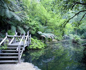 Alfred Nicholas Gardens - Tourism Noosa 0