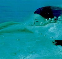 Muse - Tourism Noosa