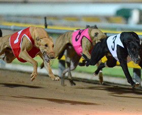 The Beckley Centre - Tourism Noosa 0