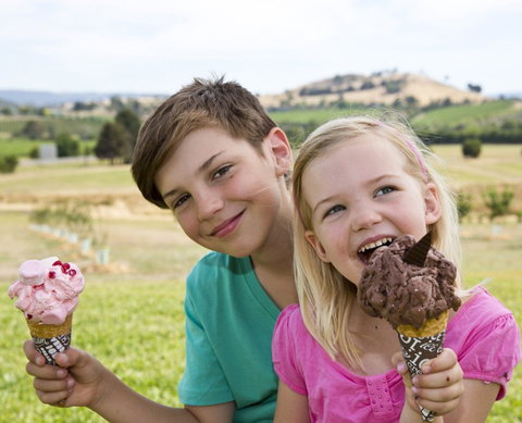Yarra Valley Chocolaterie & Ice Creamery - Tourism Noosa 6