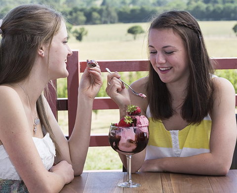 Yarra Valley Chocolaterie & Ice Creamery - Tourism Noosa 8