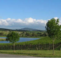 Yarrawood Estate - Tourism Noosa