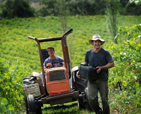 Kellybrook Winery & Kelly Brothers Cider - Tourism Noosa 0