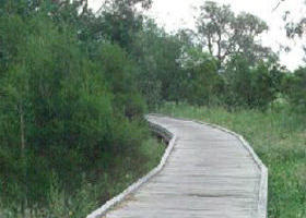 Shepherds Bush - Tourism Noosa 0