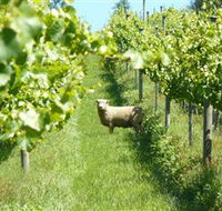 Passing Clouds - Tourism Noosa