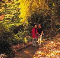 George Tindale Memorial Gardens - Tourism Noosa