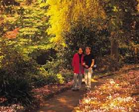 George Tindale Memorial Gardens - Tourism Noosa 0