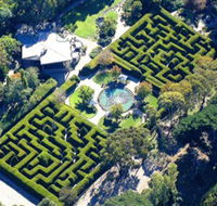 Ashcombe Maze  Lavender Gardens - Tourism Noosa