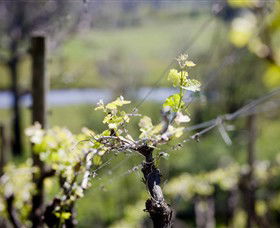 Lindemans Karadoc Winery - Tourism Noosa 0