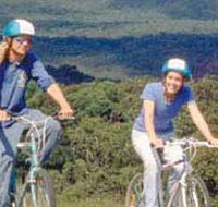 Lysterfield Park - Tourism Noosa