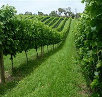 The Cups Estate - Tourism Noosa