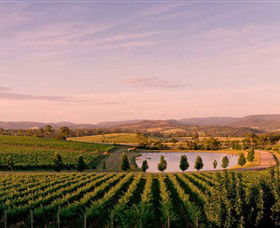 Oakridge Wines - Tourism Noosa 0