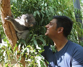 Healesville Sanctuary - Tourism Noosa 0