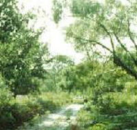 Holey Plains State Park - Tourism Noosa