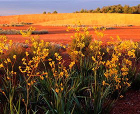 Royal Botanic Gardens Victoria Cranbourne - Tourism Noosa 0