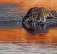 Steve Morvell Wildlife Art - Tourism Noosa