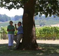 Five Oaks Vineyard