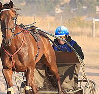 Ballarat  District Trotting Club - Tourism Noosa