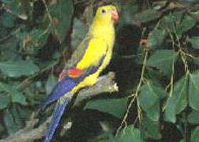 Lake Hindmarsh Reserve - Tourism Noosa 0