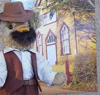 Stanley Bears - Tourism Noosa