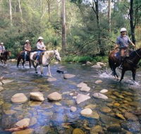 Howqua Hills Historic Area - Tourism Noosa