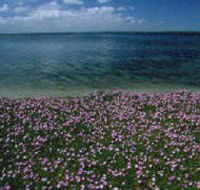 The Lakes National Park - Tourism Noosa