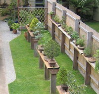 Bonsai Island - Tourism Noosa