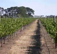 Mount Beckworth Wines - Tourism Noosa