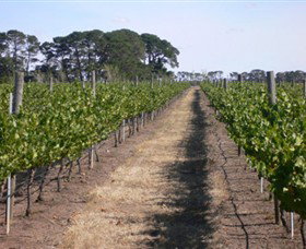 Mount Beckworth Wines - Tourism Noosa 0