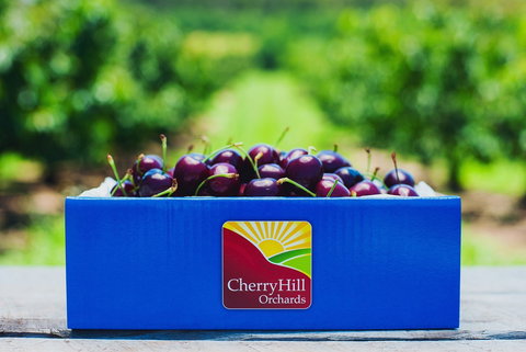 Cherryhill Orchards - Tourism Noosa 8