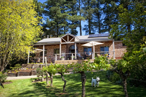 Main Ridge Estate - Tourism Noosa 2