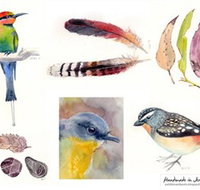 Pebbles and Pods - Tourism Noosa