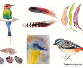 Pebbles And Pods - Tourism Noosa 0