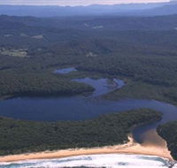 Timbertops - Horse Riding - Tourism Noosa
