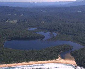 Timbertops - Horse Riding - Tourism Noosa 0