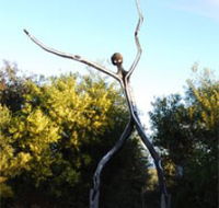 Coomee Nulunga Cultural Trail - Tourism Noosa