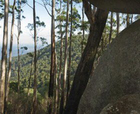 Gulaga National Park - Tourism Noosa 0