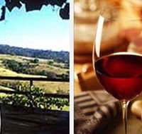 Jasper Valley Wines and Vines Cafe - Tourism Noosa