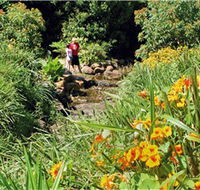 Bonaira Native Gardens - Tourism Noosa