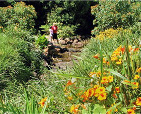 Bonaira Native Gardens - Tourism Noosa 0