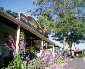 Passionfish Candles - Tourism Noosa 0