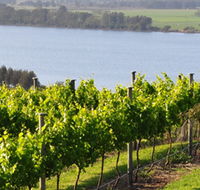 Two Figs Winery - Tourism Noosa