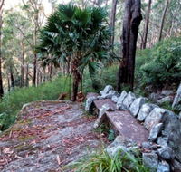 Wodi Wodi Walking Track - Tourism Noosa