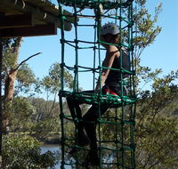 Trees Adventure Shoalhaven - Tourism Noosa