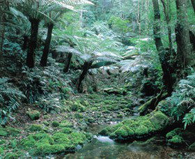 Deua National Park - Tourism Noosa 0