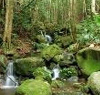 Budderoo National Park - Tourism Noosa