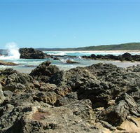 Coastal Walks - Bermagui - Tourism Noosa