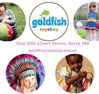 Goldfish Toy Shop - Tourism Noosa