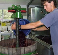 Fern Gully Winery - Tourism Noosa