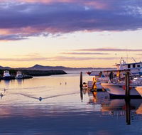 Bermagui Fishermens Wharf - Tourism Noosa